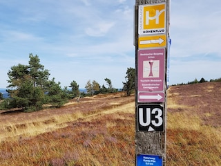 Ferienhaus Hallenberg Umgebung 29