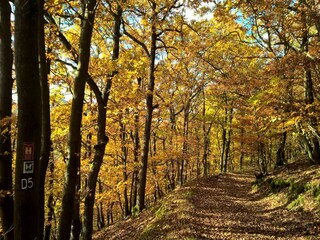 Casa de vacaciones Hallenberg Entorno 32