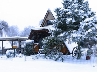 Ferienhaus Hallenberg Außenaufnahme 1