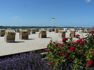 Promenade Laboe