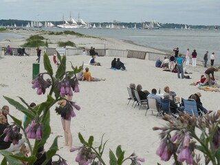 Strand am Haus (Windjammerparade)