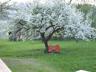 Casa de vacaciones Hart Entorno 25