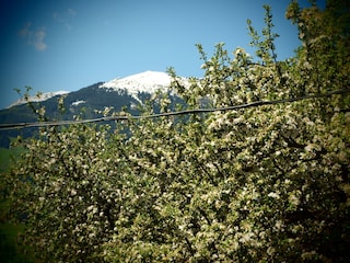 Casa de vacaciones Hart Grabación al aire libre 7