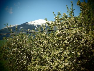 Holiday house Hart Outdoor Recording 7