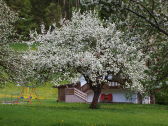 Exterior view of the holiday home in May