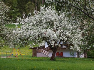 Casa de vacaciones Hart Grabación al aire libre 1
