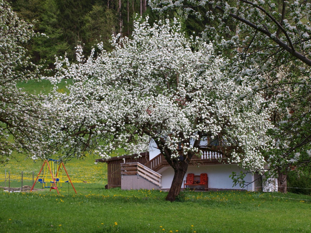 Ferienhaus  Außenansicht im Mai