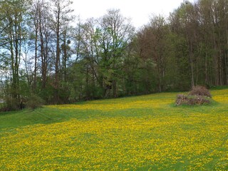 Casa de vacaciones Hart Grabación al aire libre 12
