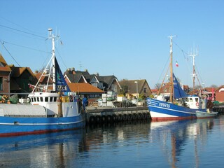 Maasholm