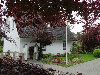 Sicht vom Nachbarn