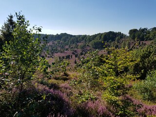 Totengrund bei Wilsede