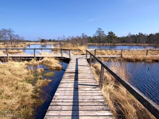 Pietzmoor Schneverdingen