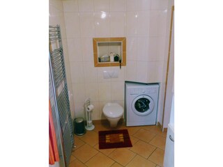 Appartamento per vacanze Bad Goisern Caratteristiche 17