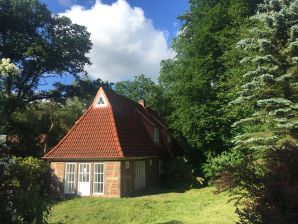 Ferienhaus Nordheidehaus - Asendorf (Nordheide) - image1