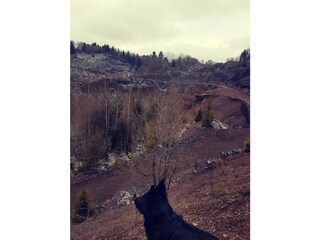 Appartement de vacances Üdersdorf Environnement 21