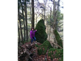 Vakantieappartement Üdersdorf Omgeving 15