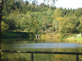 Appartement de vacances Üdersdorf Environnement 14