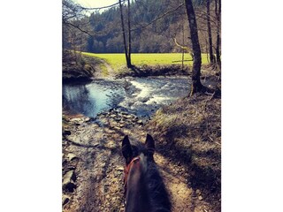 Appartement de vacances Üdersdorf Environnement 17