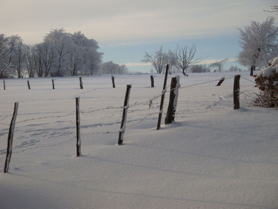 Single frauen eifel