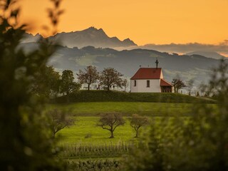 Apartamento de vacaciones Wasserburg am Bodensee Grabación al aire libre 7