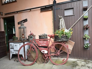 Apartment Ribnitz-Damgarten Umgebung 17