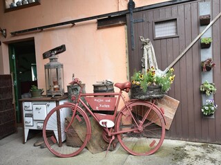 Appartement Ribnitz-Damgarten Environnement 15