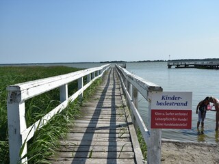 Apartment Ribnitz-Damgarten Environment 34