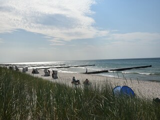 Apartamento Ribnitz-Damgarten Entorno 17