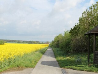 Bungalow Kühlungsborn Buitenaudio-opname 6