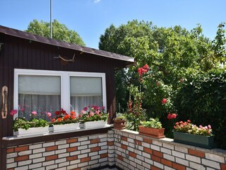 Bungalow Kühlungsborn Buitenaudio-opname 2