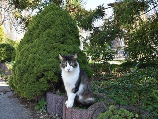 Appartement Rerik  39