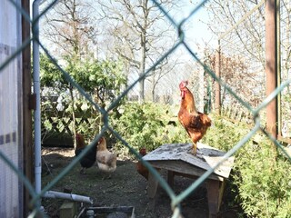 Appartamento Rerik  39