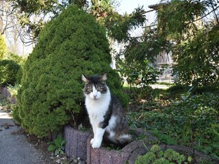 Apartamento Rerik  36