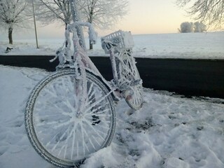 Apartment Rerik Environment 28