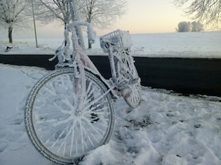 Appartement Rerik Environnement 27