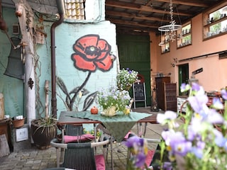 Apartment Ribnitz-Damgarten Umgebung 22