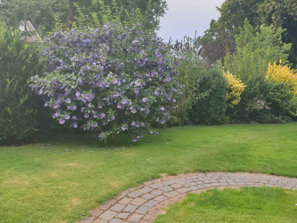 Casa de vacaciones Kägsdorf Grabación al aire libre 1