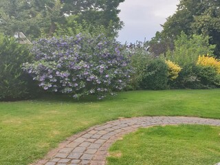 Ferienhaus Kägsdorf Außenaufnahme 7