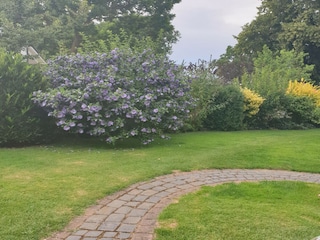 Ferienhaus Kägsdorf Außenaufnahme 2