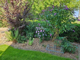 Ferienhaus Kägsdorf Außenaufnahme 8