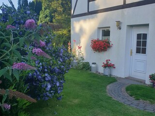 Ferienhaus Kägsdorf Außenaufnahme 6