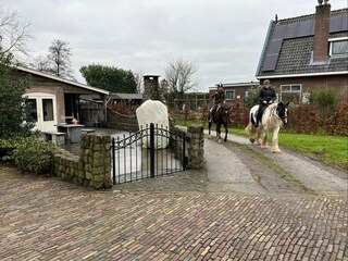 Vakantiehuis Olst Buitenaudio-opname 5