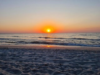 Maison de vacances Rerik Environnement 26