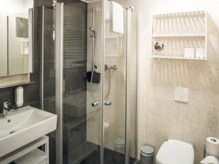 Apartamento de vacaciones Dresden-Loschwitz Características 14