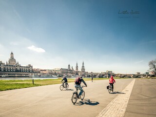 Apartamento de vacaciones Dresden-Loschwitz Entorno 18