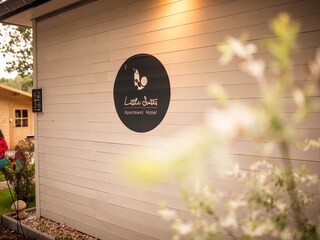 Apartamento de vacaciones Dresden-Loschwitz Grabación al aire libre 8