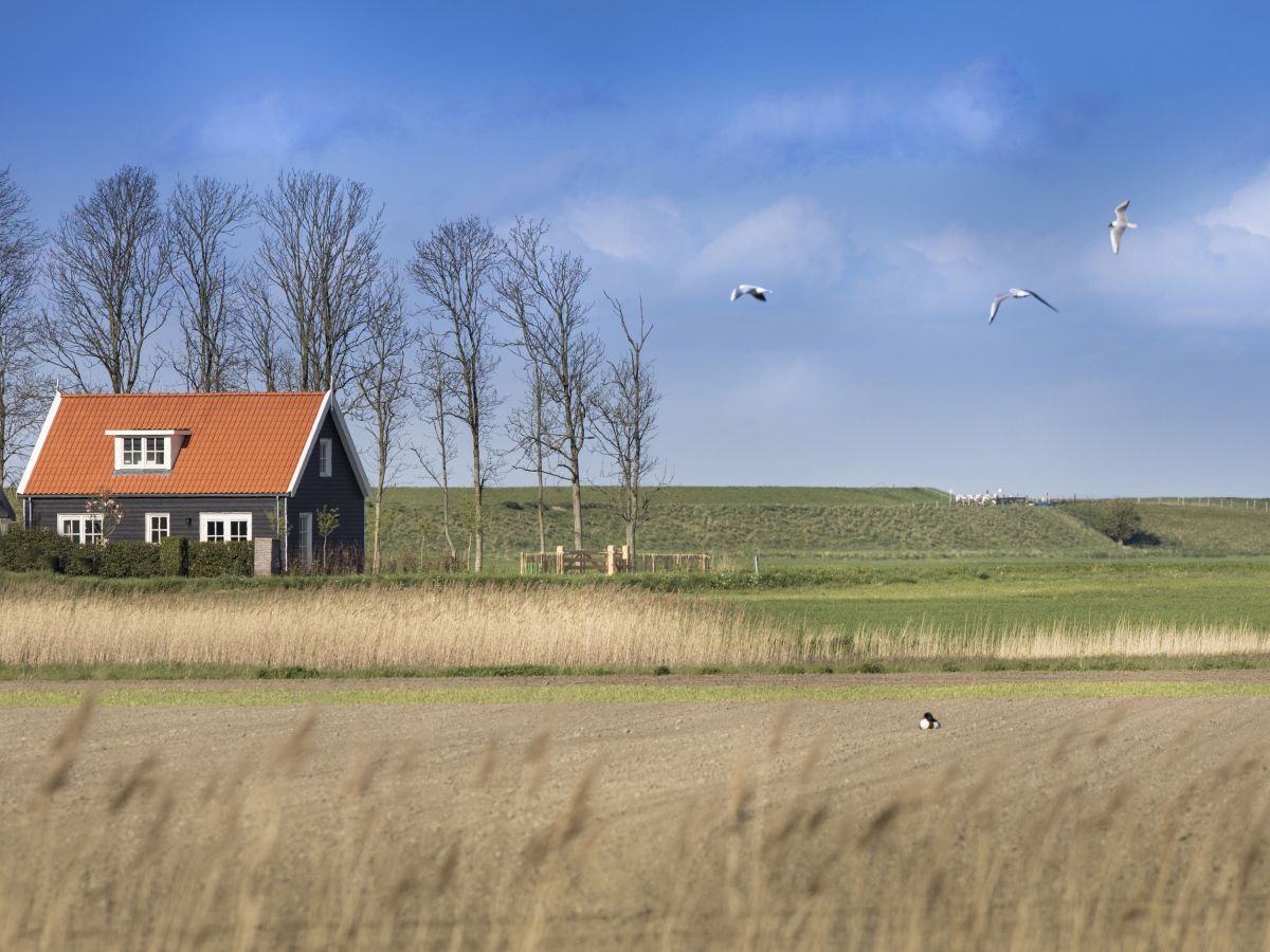 Bauernhaus im Polderlandschaft