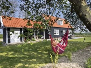 Landhaus in der Polderlandschaft - Wissenkerke - image1