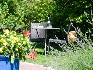 sunny garden
