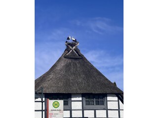 Appartamento per vacanze Seevetal Ambiente 20